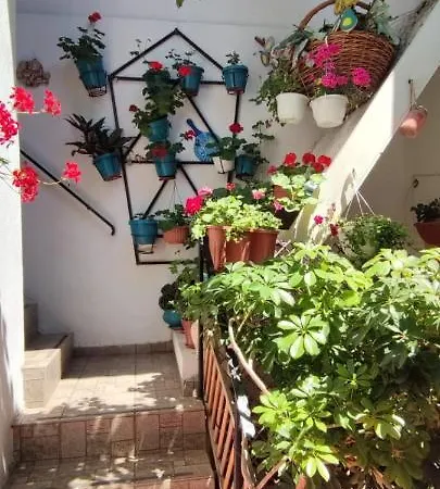 בית הארחה Traian Si Teodora 3*