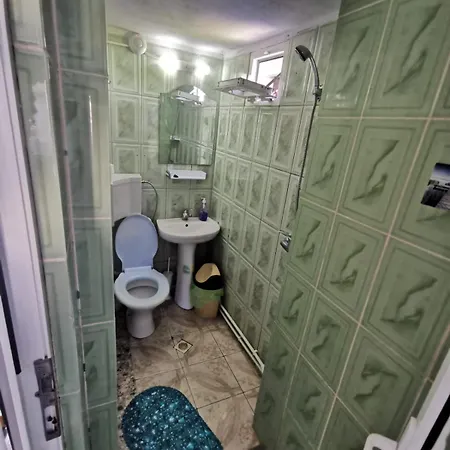 Traian Si Teodora בית הארחה קוסטינסטי