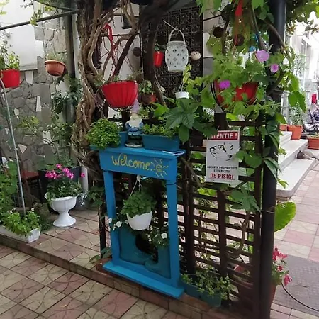 Traian Si Teodora Guest house 3*