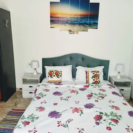 Traian Si Teodora Guest house Costinesti