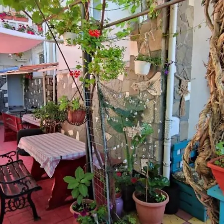 Traian Si Teodora Guest house