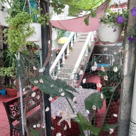 Guest house Traian Si Teodora