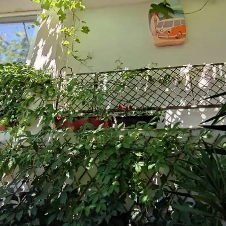 Traian Si Teodora 3* Costinesti