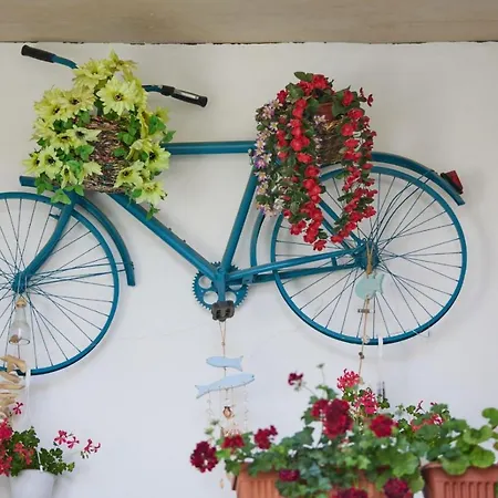 Traian Si Teodora 3* Costinesti