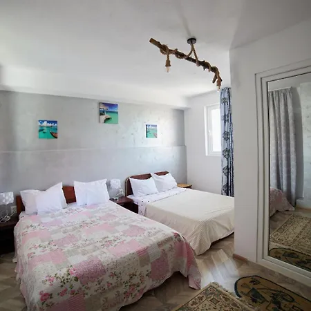 Vila Traian Si Teodora Guest house *