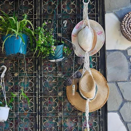 Guest house Traian Si Teodora