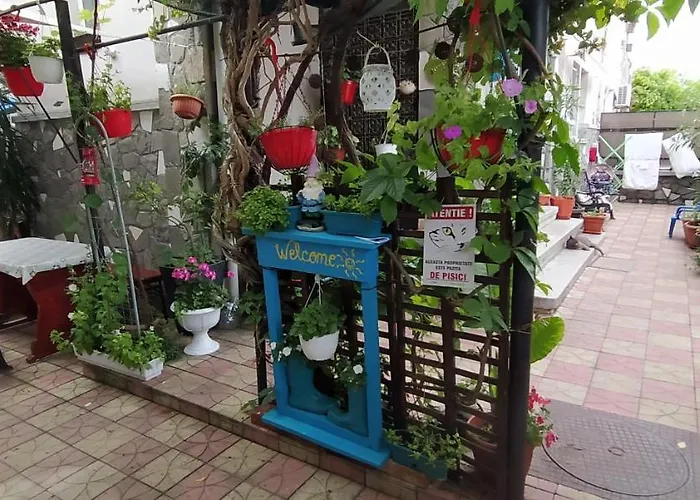 Traian Si Teodora Гостевой дом 3*