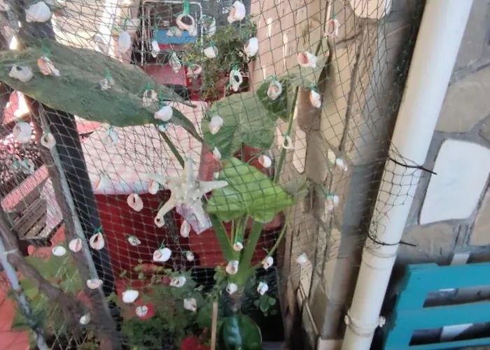 Traian Si Teodora Guest house 3*