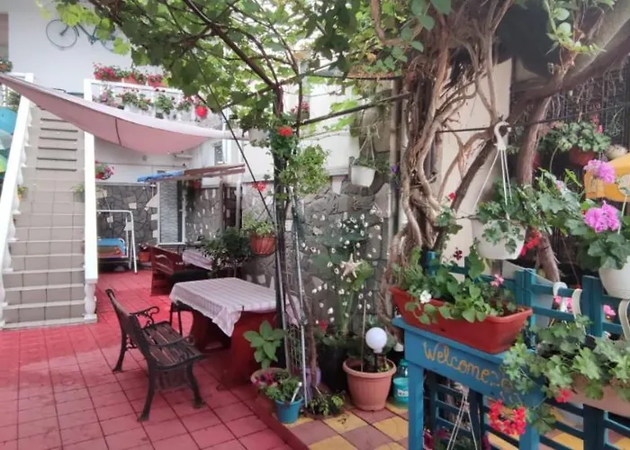 Traian Si Teodora Guest house