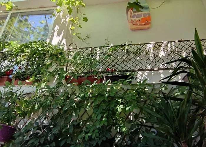 Traian Si Teodora 3* Costinesti