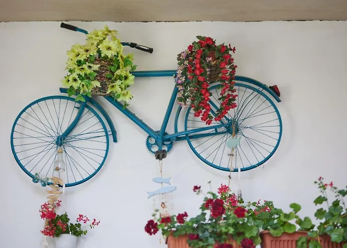 Traian Si Teodora 3* Costinesti